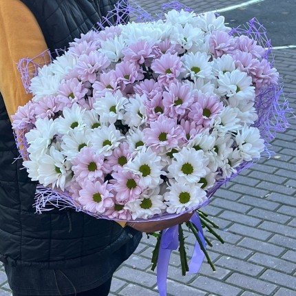 букет из розовой кустовой хризантемы - купить с доставкой в Зеленограде