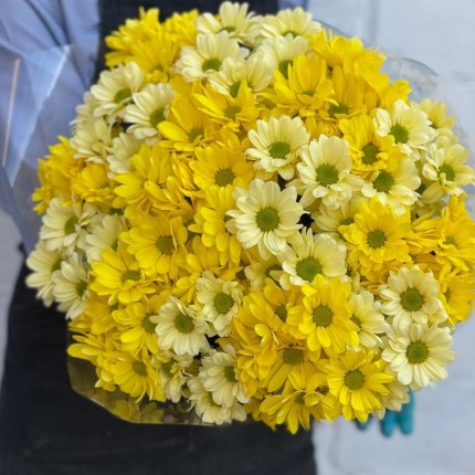 желтая кустовая хризантема - купить с доставкой в Зеленограде